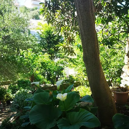 Sissy Appartement Primošten