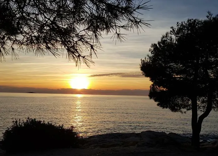 Sissy * 프리모스턴