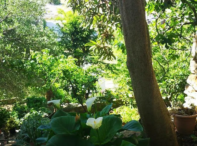 Sissy 아파트 프리모스턴